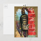 Postale Carte de commerce pour chats Frears #2 (sur 6) (Devant / Derrière)