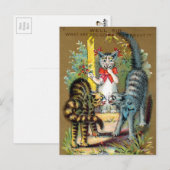 Postale Carte de commerce pour chats Frears #3 (sur 6) (Devant / Derrière)