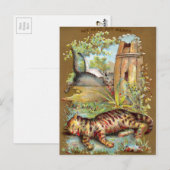 Postale Carte de commerce pour chats Frears #5 (sur 6) (Devant / Derrière)