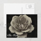 Postale carte de condoléances (Devant / Derrière)