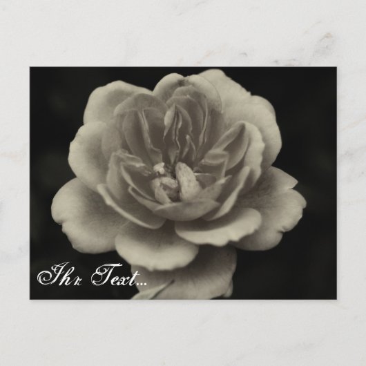 Postale carte de condoléances (Devant)