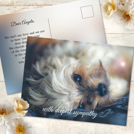 Postale Carte de condoléances Chien