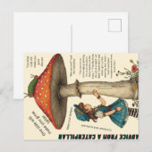 Postale Carte de conseils de chenille (Devant / Derrière)