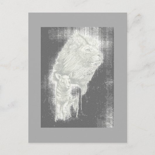 Postale Carte de coucher de soleil Lion & Lampe (Devant)