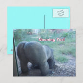 Postale Carte de déplacement (Devant / Derrière)