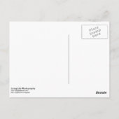 Postale Carte de félicitations (Dos)