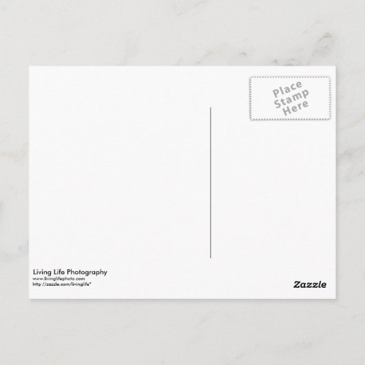 Postale Carte de félicitations (Dos)