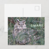 Postale Carte de félicitations avec Hibou à longues oreill (Devant / Derrière)