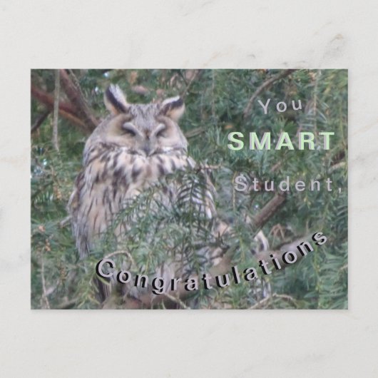 Postale Carte de félicitations Hibou à longues oreilles (Devant)