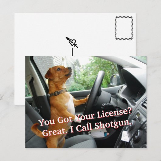 Postale Carte de félicitations pour le permis de conduire (Devant / Derrière)