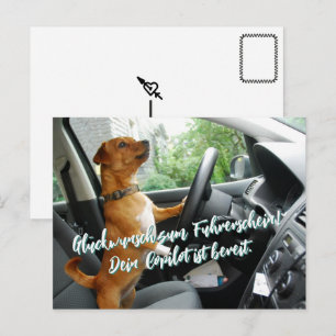 Postale Carte de félicitations pour le permis de conduire