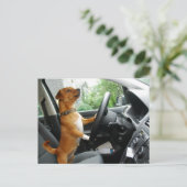 Postale Carte de félicitations pour le permis de conduire (Debout devant)