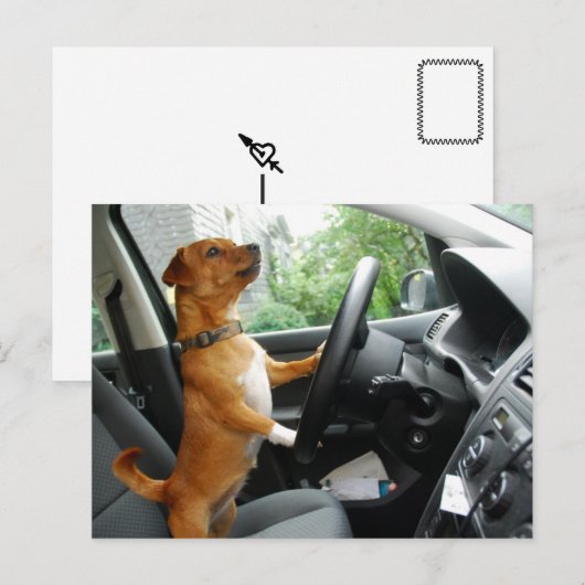 Postale Carte de félicitations pour le permis de conduire (Devant / Derrière)