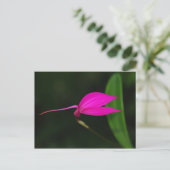 Postale Carte de Fleur (Debout devant)