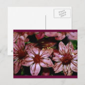 Postale Carte de fleurs rouges peintes (Devant / Derrière)