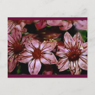 Postale Carte de fleurs rouges peintes