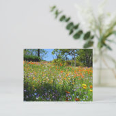 Postale Carte de fleurs sauvages de Napa (Debout devant)