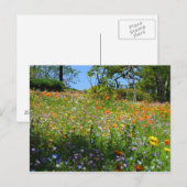 Postale Carte de fleurs sauvages de Napa (Devant / Derrière)