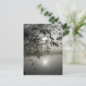 Postale Carte de fond et d'ombre (Debout devant)