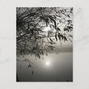 Postale Carte de fond et d'ombre