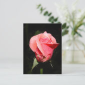 Postale Carte de gouttes de pluie rose (Debout devant)