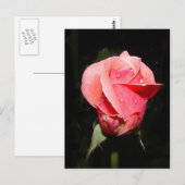 Postale Carte de gouttes de pluie rose (Devant / Derrière)