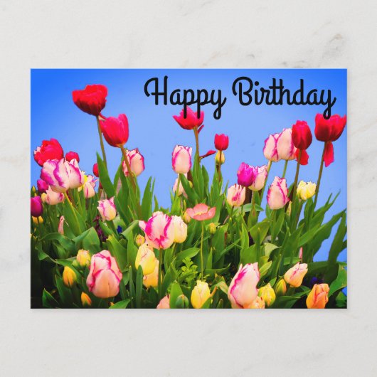 Postale Carte de Joyeux Anniversaire Divers Tulipes #3 (Devant)