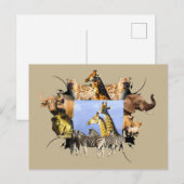 Postale Carte de la Giraffe Frame d'Afrique (Devant / Derrière)