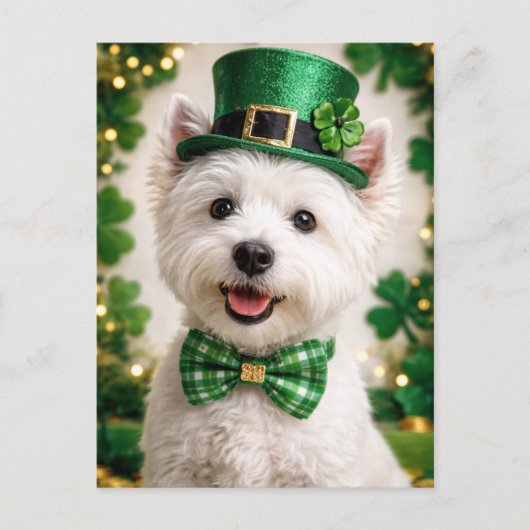 Postale Carte de la Saint-Patrick pour West Highland White (Devant)
