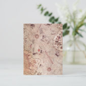 Postale Carte de l'Ancien Monde de Piri Reis (Debout devant)