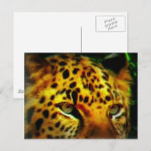 Postale Carte de l'art de la faune de la jungle au regard  (Devant / Derrière)