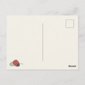 Postale Carte de naissance bébé coccinelle mignonne (Dos)