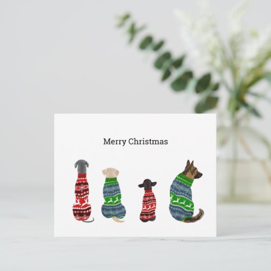 Postale Carte de Noël avec Chiens portant un pull (Debout devant)