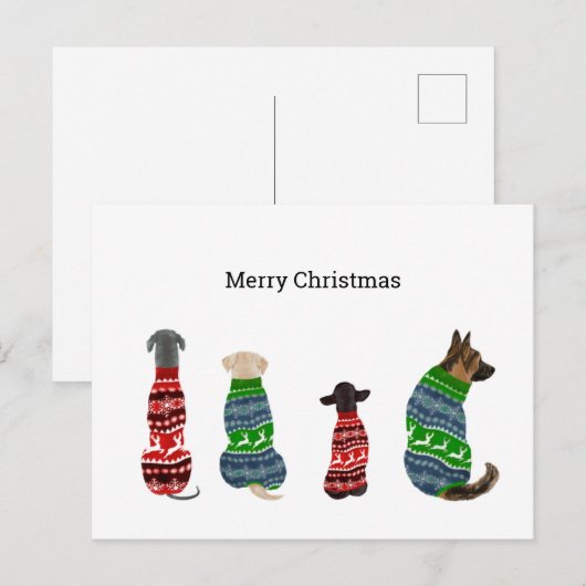 Postale Carte de Noël avec Chiens portant un pull (Devant / Derrière)