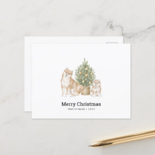 Postale Carte de Noël avec famille de Chiens Shiba Inu