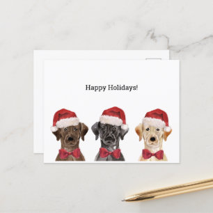 Postale Carte de Noël avec Trois Labrador