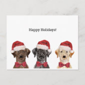 Postale Carte de Noël avec Trois Labrador (Devant)