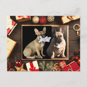 Postale Carte de Noël bulldogs français Noël