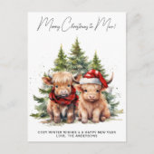 Postale Carte de Noël Cosy Highland Cow 2025 (Devant)