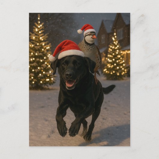 Postale Carte de Noël Labrador noir et Perdrix (Devant)