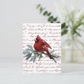 Postale Carte de Noël Oiseau Cardinal Rouge Écriture Franç (Debout devant)