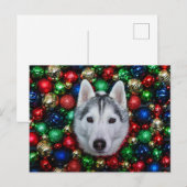 Postale Carte de Noël Sibérienne Husky (Devant / Derrière)
