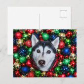 Postale Carte de Noël Sibérienne Husky (Devant / Derrière)