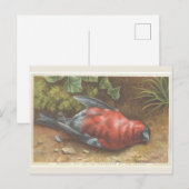 Postale Carte de Noël Victorian Dead Bird (Devant / Derrière)