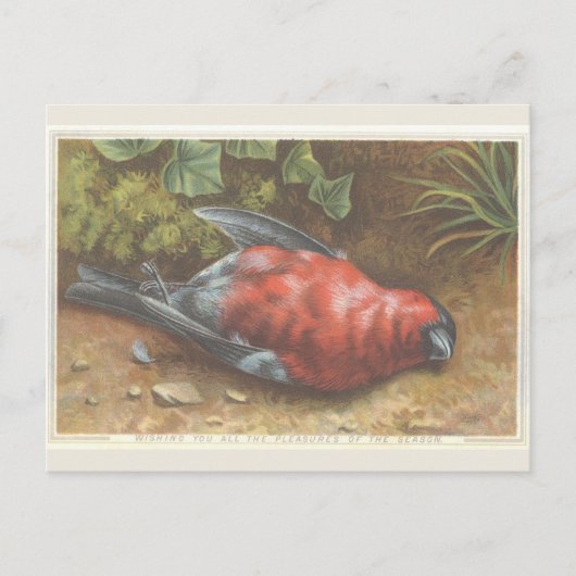 Postale Carte de Noël Victorian Dead Bird (Devant)