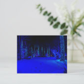 Postale Carte de Noël Wonderful Christmas Time (Debout devant)