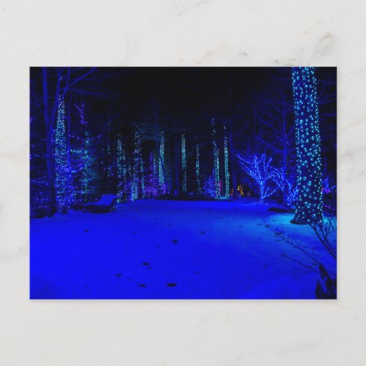 Postale Carte de Noël Wonderful Christmas Time (Devant)