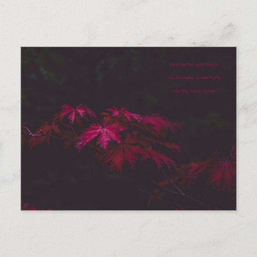 Postale carte de poésie (Devant)