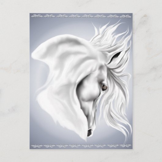 Postale Carte de poste de cheval blanc (Devant)