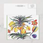 Postale Carte de poste de dessin de fleurs botaniques Abst (Devant / Derrière)